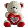 Sweet and huggable white teddy bear with a red heart on its paw